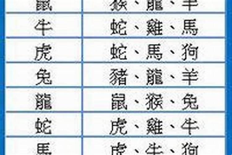 属相婚配：虎与龙的姻缘之路