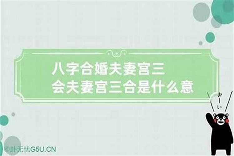 合婚中二九宫是什么？