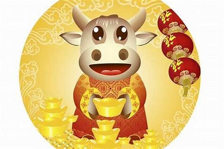 今年本命年财运怎么样呢男？