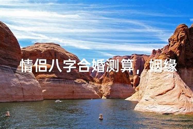 猴猪合婚：八字命理解读与婚恋指南