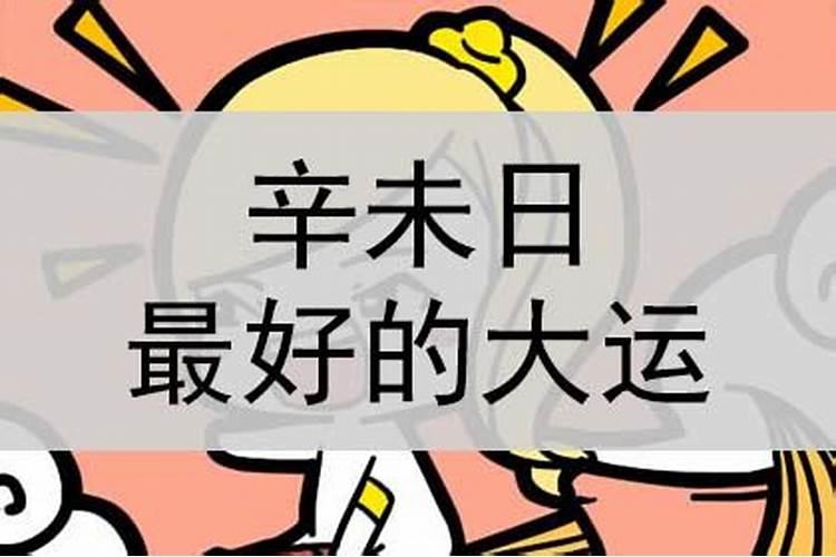 什么人适合辛未大运？