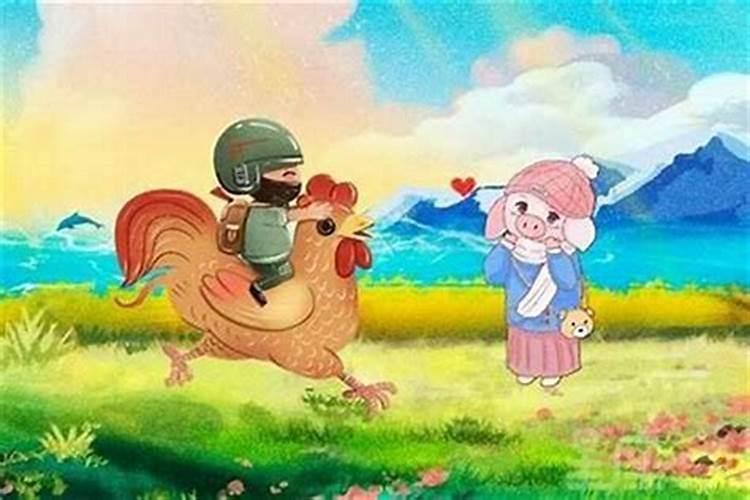 属鸡与属猪的八字合吗？