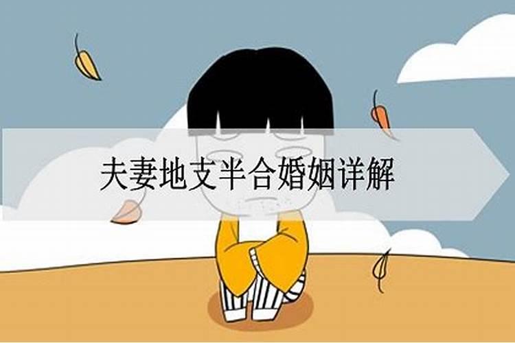 半合婚姻宫什么意思？