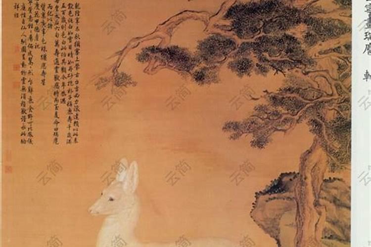梦见鹿是什么征兆？