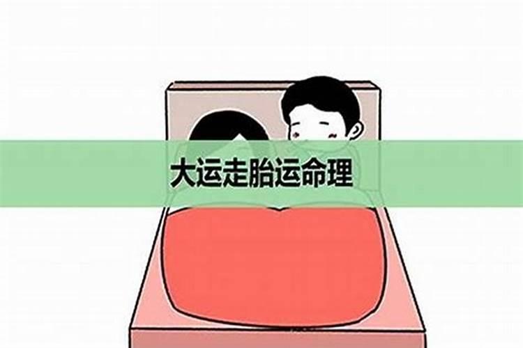 胎运代表什么？