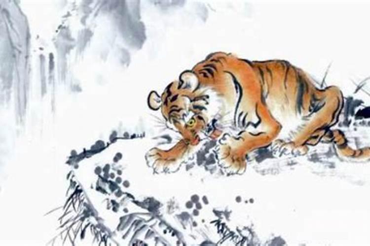 1999属虎最佳配偶属相