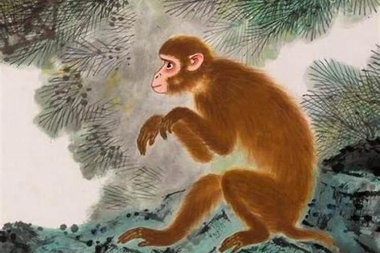 属猴的人哪年犯太岁这三年要注意？