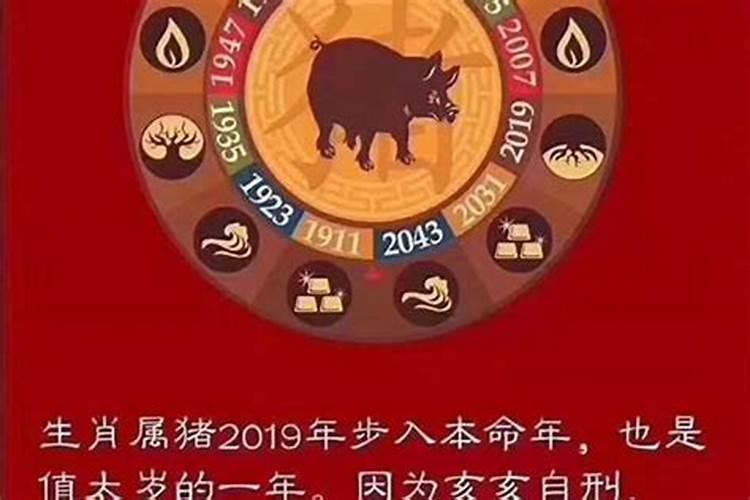 今年什么本命年？