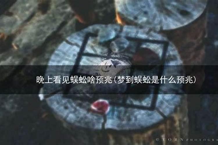 晚上看见蜈蚣什么征兆？