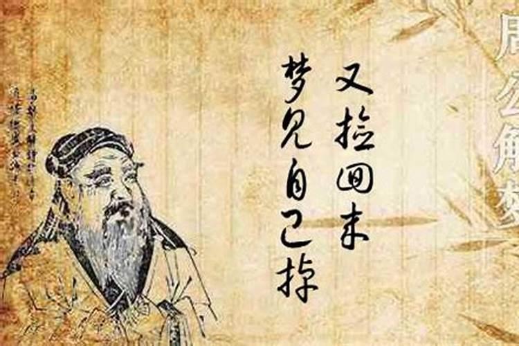 梦见自己的老婆回来了的预兆？