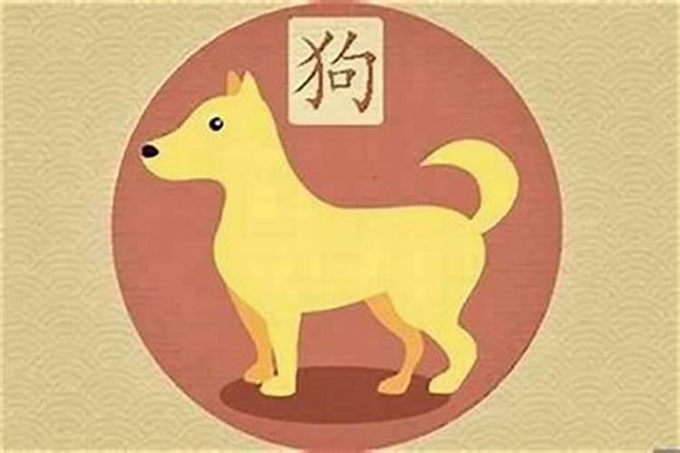 八字合犬是什么生肖属相不合八字会合吗？