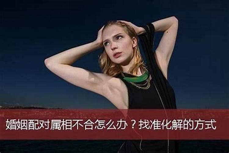 属相不会婚配如何化解？