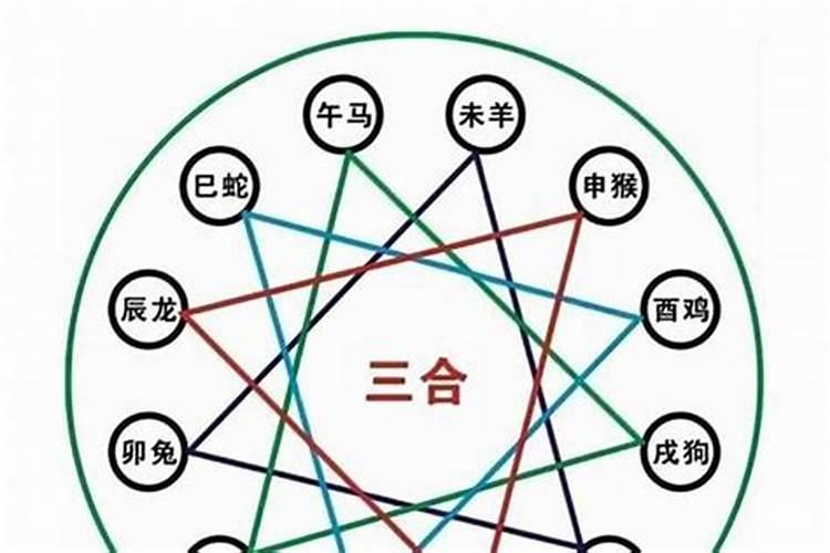 请问八字里面的三合与五合是什么意思？