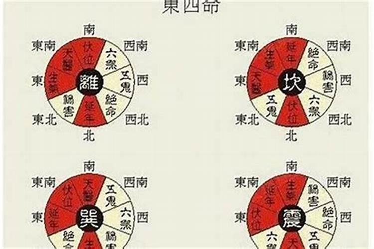 探索命理学：解析“离命东四命