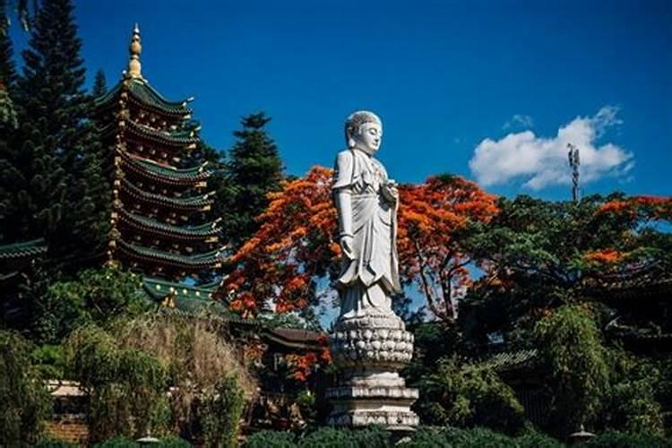 72岁老人,本命年,怎么过生日？