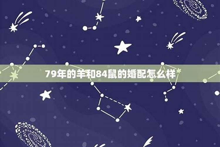 属羊男属鼠女结婚会怎么样,属鼠女和属羊男的夫妻？