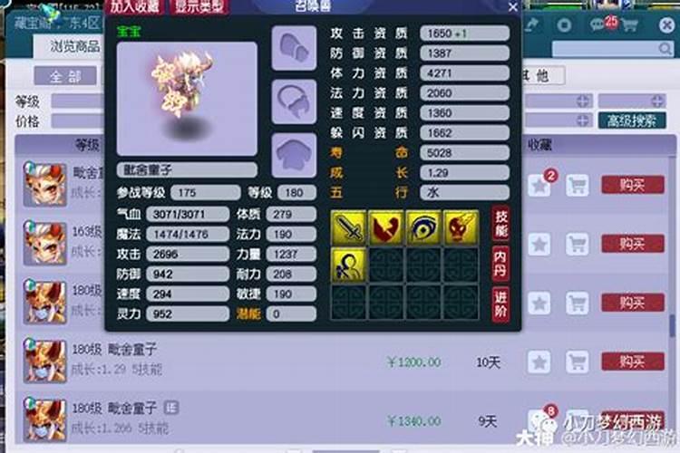 哪种童子等级比较高？