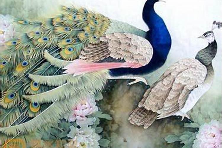孔雀旺什么属相？