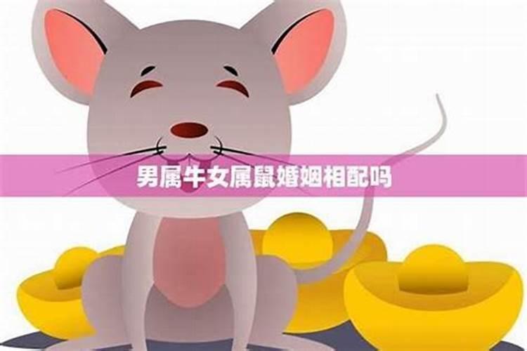 属鼠男人和属羊女人相配吗？