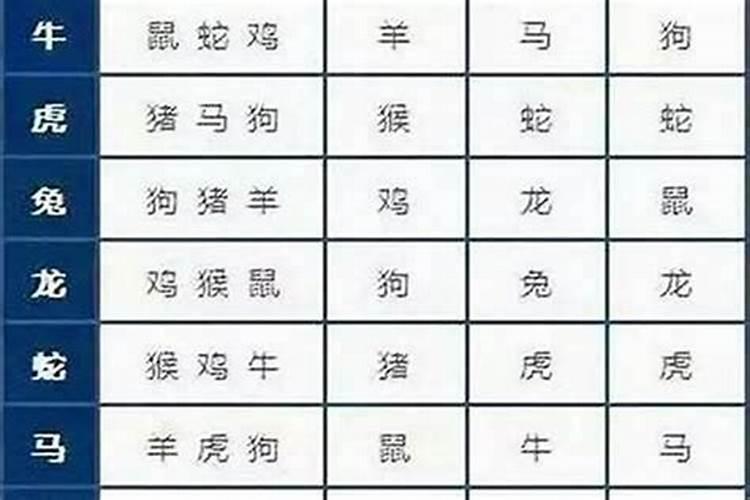 属羊与属鼠婚配属相合不合羊鼠结婚好不好？