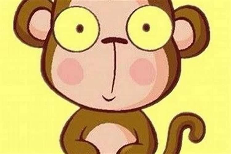 属猴的和哪个属相相配最好,属猴的应该配什么最合适？