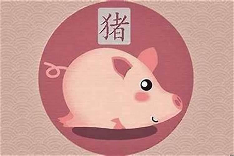 十二生肖的败月分别是哪几个月？