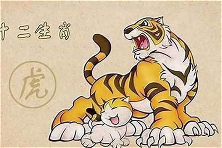 属虎本命年能结婚吗择吉日寓意幸福美满？