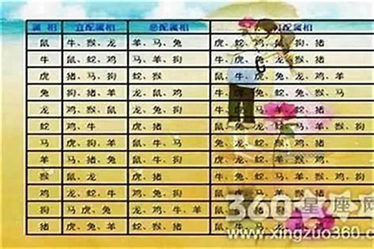 属牛女的上等婚配属相和属虎男绝配