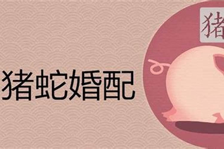猪和蛇在一起对谁不利巳蛇和亥猪合婚化解方法？