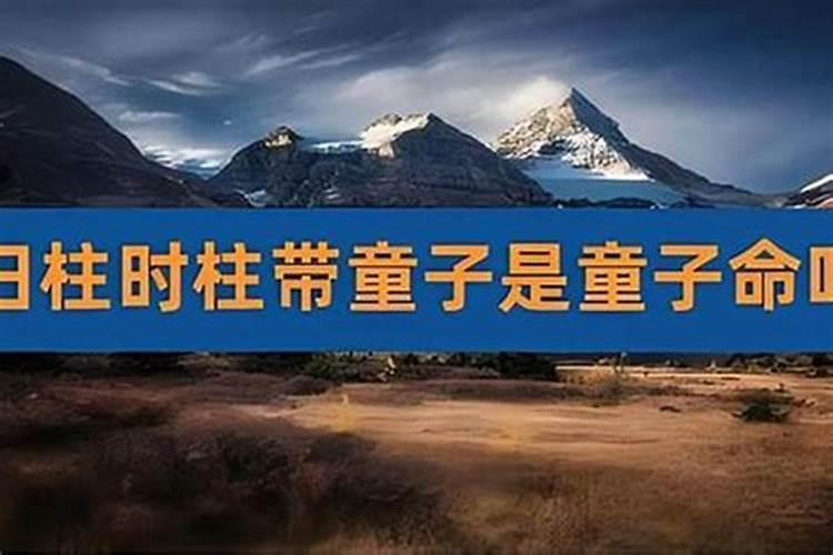 怎么查命里有没有童子？