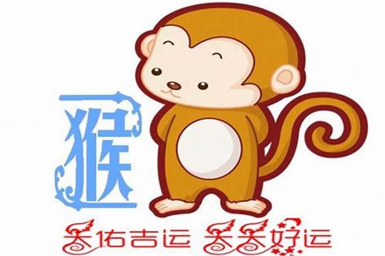 属猴人婚配建议