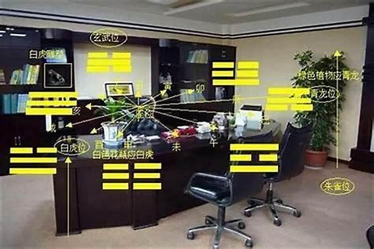 办公椅后面摆放什么旺事业运？