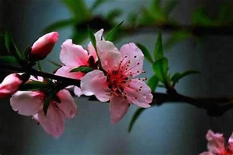 破解桃花劫要佩戴什么？