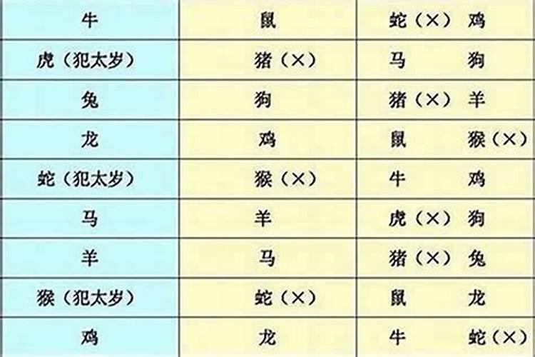 蛇年那些生肖要穿红
