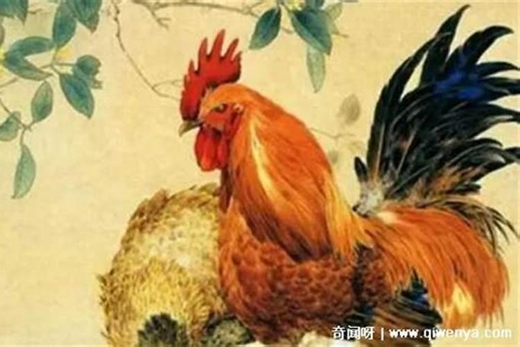 81年属鸡人42岁过七劫会遭遇什么81年属鸡42岁劫难？