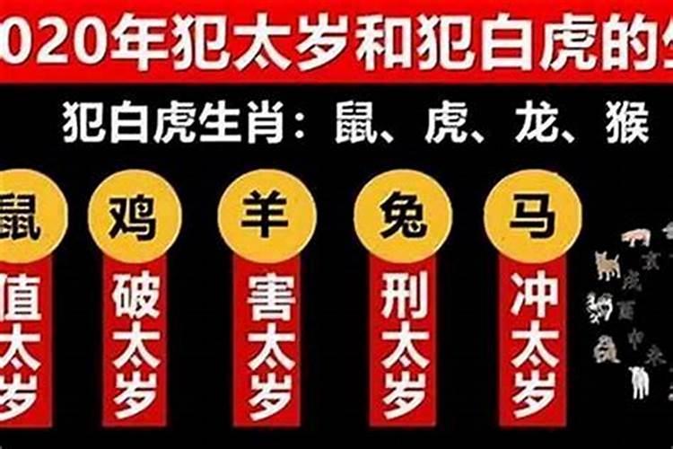 2025年都犯什么太岁？