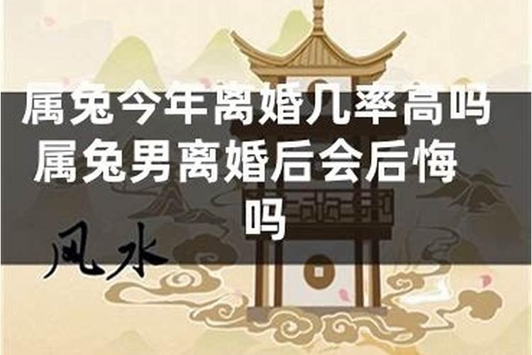 属兔今年离婚几率高吗属兔男离婚后会后悔吗？