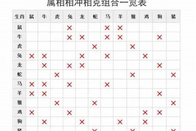 最佳婚配年龄差距