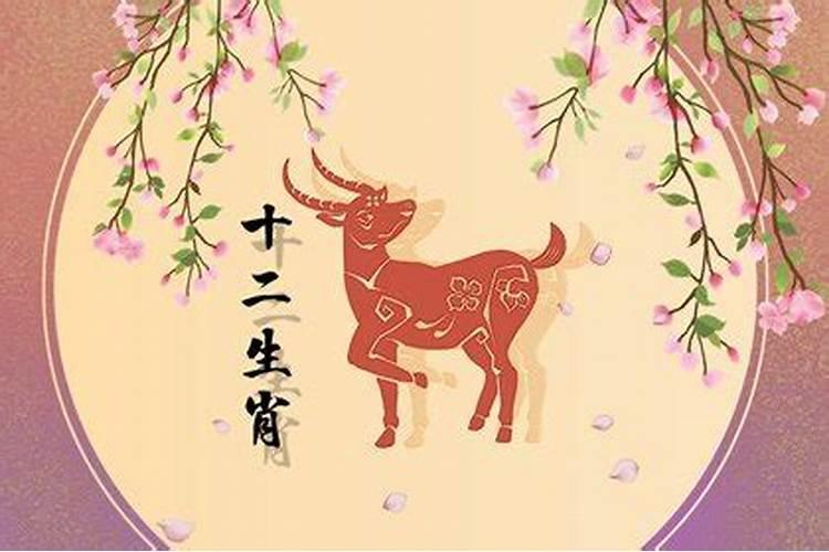 属马的和属羊的结婚好吗？