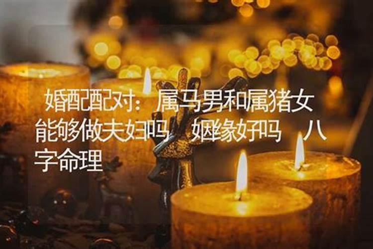 八字命理揭秘：马和猪的婚配之谜