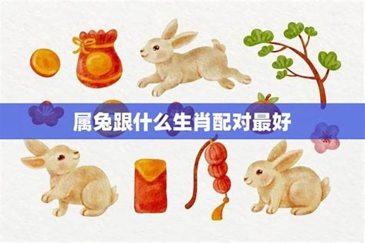 兔和什么八字合与属兔相合的生肖有哪些？