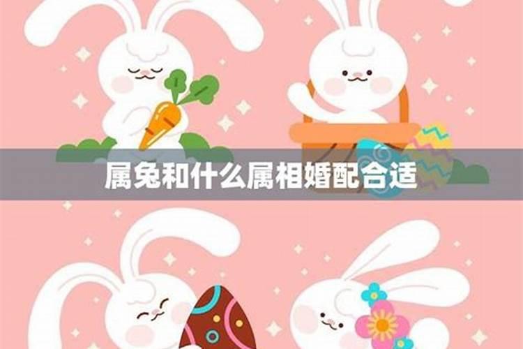 属相相同婚配怎样？