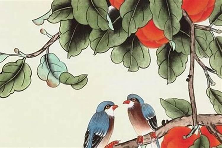 八字有巳申合的人巳申合会发生什么事情？
