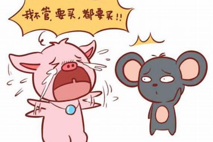 属猪男人和属鼠女人相配吗？