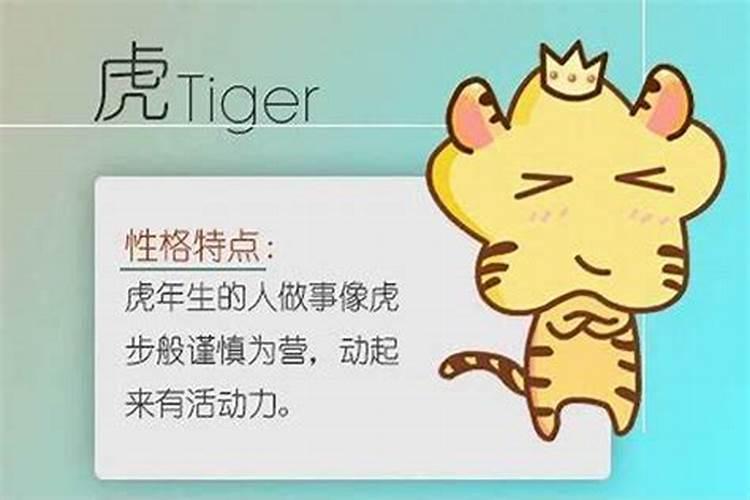 九八年一月的老虎和九七年十月的牛配吗？